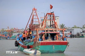 Des bateaux de pêche. Photo d'illustration: VNA