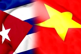 Drapeaux de Cuba et du Vietnam