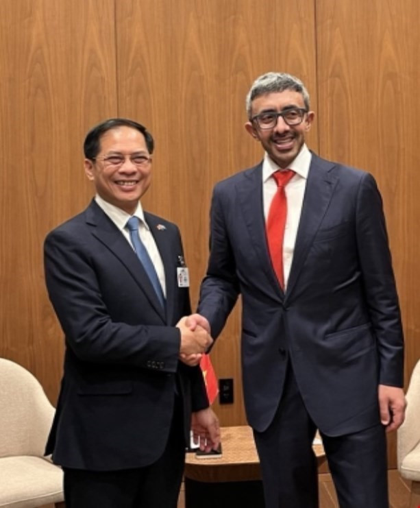 Le vice-Premier ministre Bui Thanh Son (gauche) rencontre le vice-Premier ministre et ministre des Affaires étrangères des Émirats arabes unis (EAU), Sheikh Abdullah bin Zayed Al Nahyan. Photo: VNA