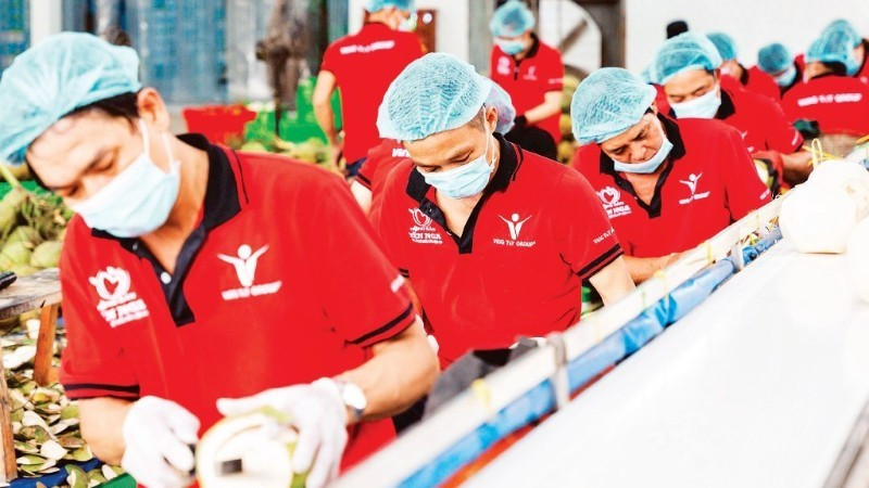 Transformation de noix de coco destinées à l'exportation chez Vina T&T Group. Photo : nhandan.vn