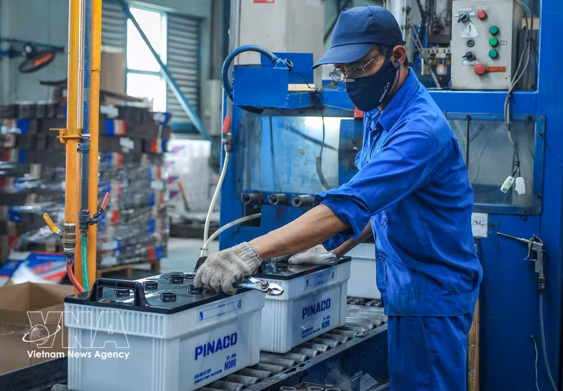 La société par actions Pinaco vise une croissance supérieure à 10 % cette année, pour atteindre un chiffre d’affaires de 4 800 milliards de dongs. Photo: VNA