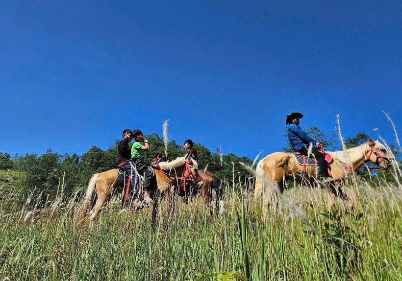 Lancement du produit touristique "Découverte de l’extrême Nord – Tuyên Quang à cheval". Photo: VNA