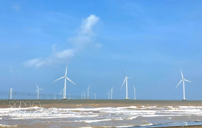 La province de Vinh Long met en service 13 parcs éoliens d'une capacité totale de 572 MW. Photo : VNA