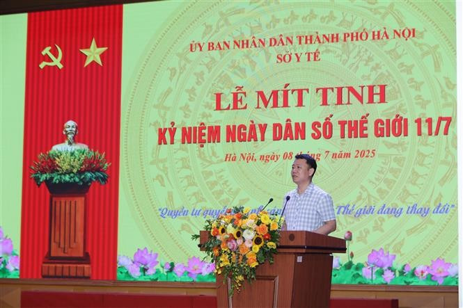 Le directeur de l’Autorité de la population du Vietnam, Lê Thanh Dung, s'exprime au Meeting. Photo: VNA