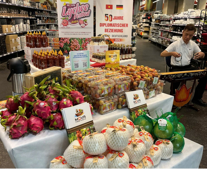 Le 17 juin 2025, le Bureau commercial du Vietnam en Allemagne, en collaboration avec le groupe de distribution Selgros et la province de Bac Giang, organise la "Journée des produits vietnamiens" à Berlin. Photo : moit.gov.vn