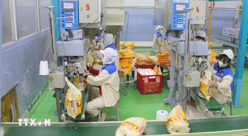Le Vietnam conserve sa troisième place parmi les fournisseurs de riz à Singapour. Photo: VNA