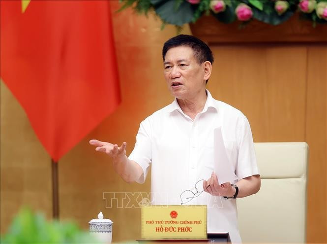 Le vice-Premier ministre Ho Duc Phoc. Photo: VNA