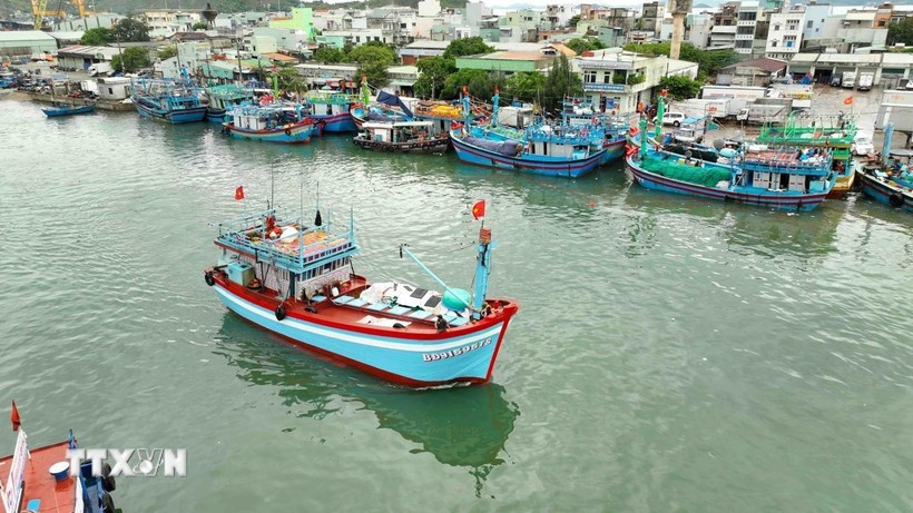 Le Vietnam affiche une détermination sans faille dans sa lutte contre la pêche illicite, non déclarée et non réglementée (INN). Photo: VNA