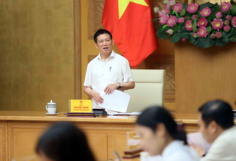 Le vice-Premier ministre Ho Duc Phoc s'exprime à la réunion. Photo: VNA