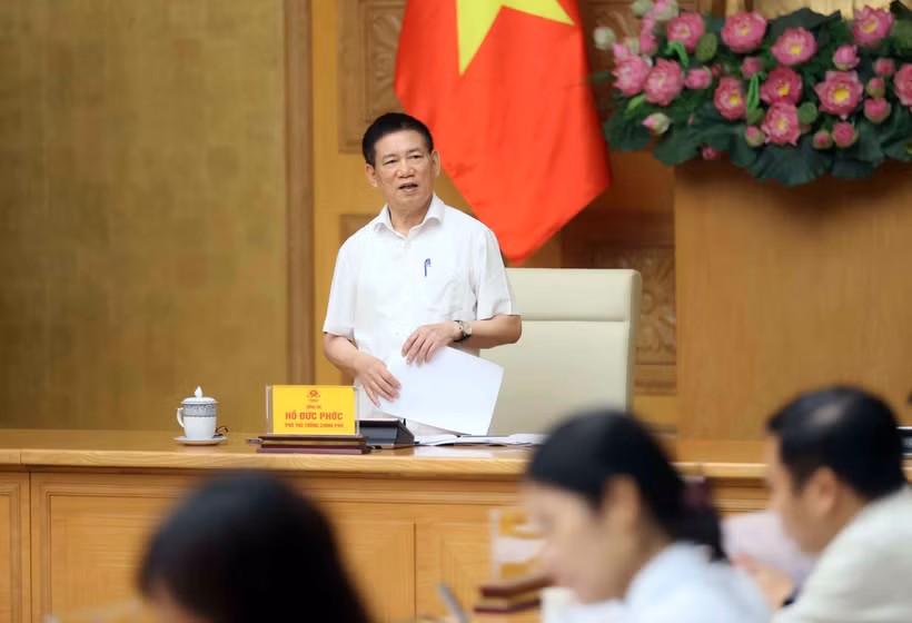 Le vice-Premier ministre Ho Duc Phoc s'exprime à la réunion. Photo: VNA