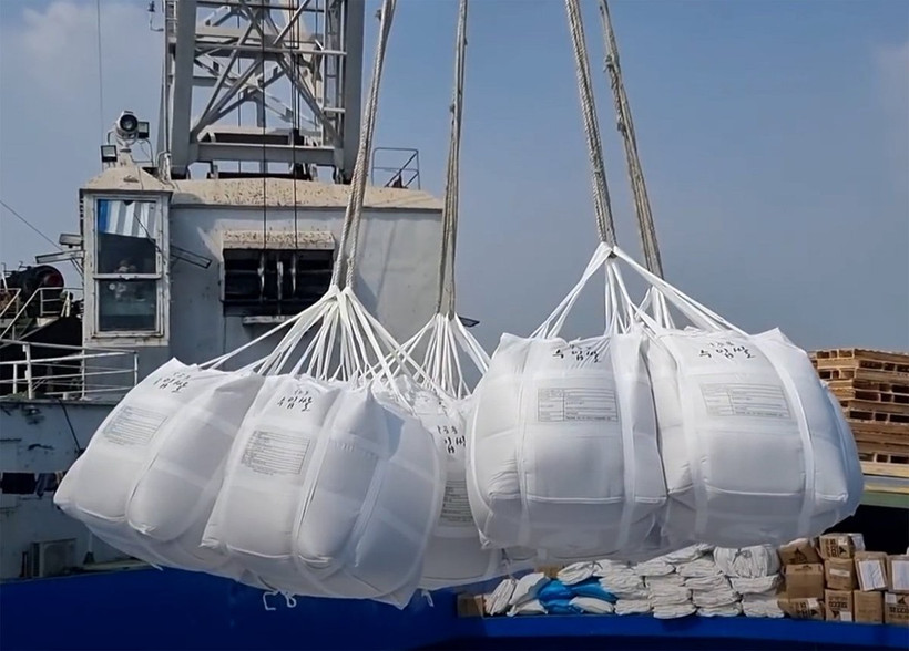 Les exportations de riz du Vietnam devraient dépasser les 8,2 millions de tonnes. Photo: VNA