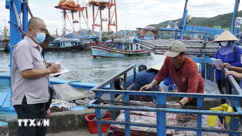 Les forces compétentes supervisent l'acheminement des bateaux au port. Photo : VNA