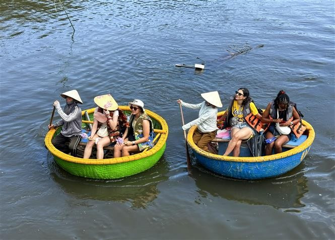 Les visiteurs s’adonnent à des balades en bateau-panier à travers la mangrove. Photo: VNA