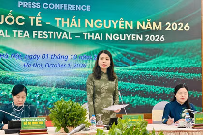 La vice-ministre des Affaires étrangères, Nguyen Minh Hang à la conférence de presse présentant le Festival international du thé de Thai Nguyen. Photo: VNA