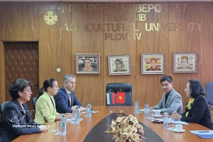 L’ambassadrice du Vietnam en Bulgarie, Nguyen Thi Minh Nguyet, a rencontré les dirigeants de l’Université agronomique de Plovdiv afin de renforcer la coopération bilatérale dans la formation, la recherche scientifique et le transfert de technologies agricoles. Photo: VNA