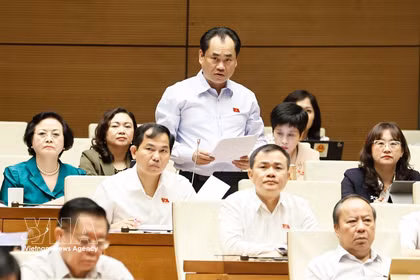 Le ministre de l’Agriculture et de l’Environnement Trinh Viet Hung répond à plusieurs préoccupations sur le développement des biotechnologies et le financement des infrastructures d’adaptation au changement climatique. Photo: VNA