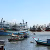 Bateaux de pêche ancrés sur le fleuve Ben Dinh. Photo : VNA