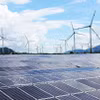 Cà Mau mise sur les énergies renouvelables, notamment l’éolien en mer et près des côtes, afin de contribuer à l’approvisionnement du réseau électrique national. Photo: VNA