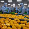 Transformation de produits agricoles destinés à l'exportation par la société B'LaoFood. Photo : VNA