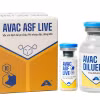  Vaccin AVAC ASF LIVE. Photo: avac.com.vn