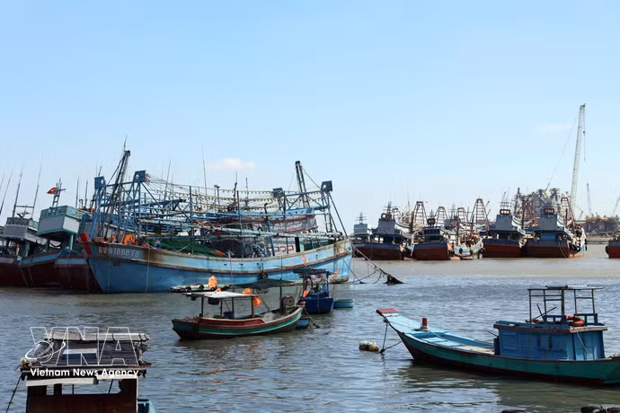 Bateaux de pêche ancrés sur le fleuve Ben Dinh. Photo : VNA