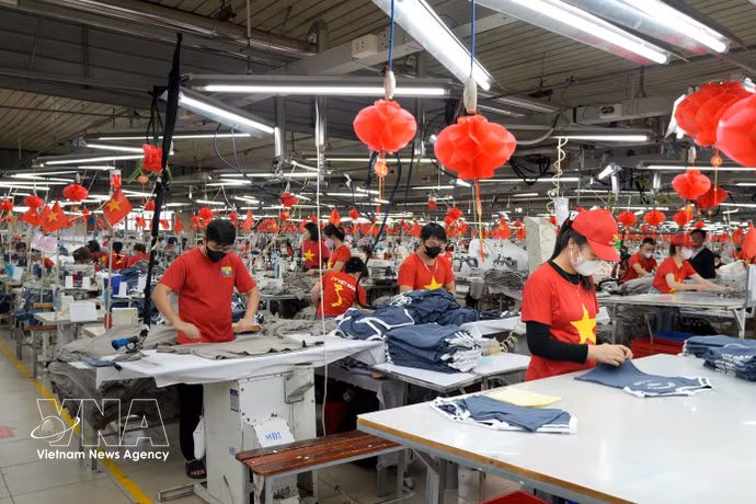 Des agriculteurs de la province de Bac Ninh récoltent les litchis précoces. Photo : VNA