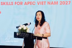 La vice-ministre des Affaires étrangères, Le Thi Thu Hang. Photo: VNA