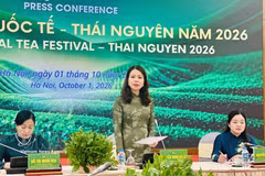 La vice-ministre des Affaires étrangères, Nguyen Minh Hang à la conférence de presse présentant le Festival international du thé de Thai Nguyen. Photo: VNA