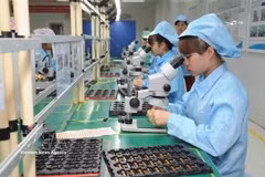 Contrôle de la qualité des produits avant expédition chez Vietonic Company, dans le parc industriel de Dinh Tram, province de Bac Ninh. Photo : VNA