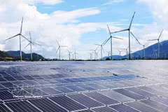 Cà Mau mise sur les énergies renouvelables, notamment l’éolien en mer et près des côtes, afin de contribuer à l’approvisionnement du réseau électrique national. Photo: VNA
