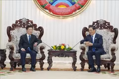 Entretien entre le vice-Premier ministre du Vietnam Ho Duc Phoc et le Premier ministre lao Sonexay Siphandone. Photo: VNA