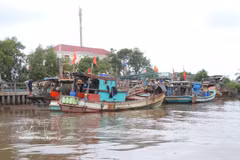 La province méridionale de Ca Mau a intensifié ses efforts de lutte contre la pêche illicite, non déclarée et non réglementée (INN), dans le but de contribuer à la levée du « carton jaune » imposé par la Commission européenne (CE) au secteur halieutique vietnamien. Photo: VNA