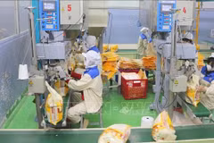 Conditionnement de riz destiné à l'exportation à l'usine de Thao Son Foodstuff, filiale du groupe Loc Troi. Photo : VNA