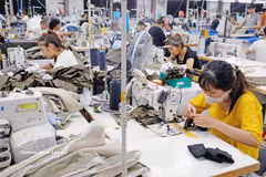 Confection de vêtements d'exportation. Photo : VNA