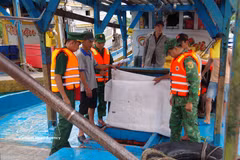 La province de Dong Thap a adopté un plan visant à mettre en œuvre les recommandations de la Commission européenne pour lutter contre la pêche illicite, non déclarée et non réglementée (INN). Photo: VNA
