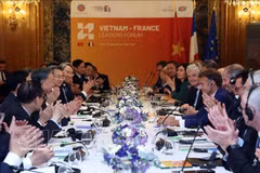 Le secrétaire général du PCV et président vietnamien To Lam et le président français Emmanuel Macron rencontrent les dirigeants de plusieurs grandes entreprises des deux pays. Photo : VNA