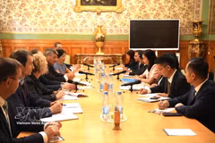 Consultation politique au niveau des vice-ministres des Affaires étrangères Vietnam-Russie.