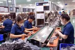 Les exportations de textile-habillement ont atteint 1,84 milliard de dollars, tandis que celles de chaussures se sont élevées à 975 millions de dollars. Photo: VNA