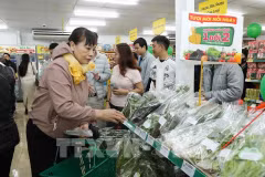 Bach Hoa Xanh apporte son modèle de supermarché au Nord. Photo: VNA