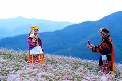 Saison des sarrasins : Tuyên Quang, nouvelle escale prisée des voyageurs