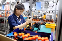 L’adoption progressive de critères de productivité apparaît comme un levier de croissance pour les entreprises. Photo: VNA