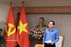 Le vice-Premier ministre Ho Quoc Dung préside la 35e réunion du Comité national de pilotage sur la lutte contre la pêche illicite, non déclarée et non réglementée (INN) et le développement durable de la pêche. Photo: VNA