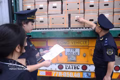 Les douanes décèlent près de 8 900 infractions en six mois. Photo: VNA