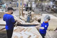 Ces derniers temps, les investisseurs privés continuent d’intensifier leur soutien aux entreprises vietnamiennes en leur apportant non seulement des capitaux, mais aussi une expertise en gestion, des conseils stratégiques et des connexions aux marchés internationaux. Photo: VNA