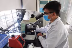 Les résultats de la recherche scientifique contribuent à améliorer l'efficacité de la production agricole de 20 à 30 %. Photo : Bnews.vnanet.vn