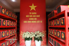 après trois mois de recherches au parc Le Thi Rieng, à Ho Chi Minh-Ville, l’équipe K74 a retrouvé et exhumé 664 restes de soldats tombés au combat, dont 33 provenant de huit tombes collectives. Photo: VNA