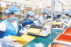 Activités de production à la Sarl Si Flex Vietnam, dans la zone industrielle de Quang Chau, chef-lieu de Viet Yen, province de Bac Giang (Nord). Photo: https://baobacgiang.vn/ 