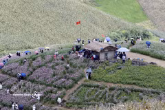 Du 31 août au 2 septembre, une série d’activités culturelles, sportives et touristiques s’est tenue à la porte frontière internationale de Long Sap, dans la commune de Long Sap, attirant de nombreux visiteurs et habitants des zones frontalières du Vietnam et du Laos. Photo: VNA
