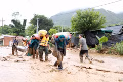 Les autorités provinciales ont dépêché une mission sur le terrain pour diriger les opérations de secours. Photo: VNA