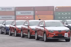 Des véhicules électriques VinFast rassemblés au port de Hai Phong avant leur embarquement pour l’exportation. Photo : VNA